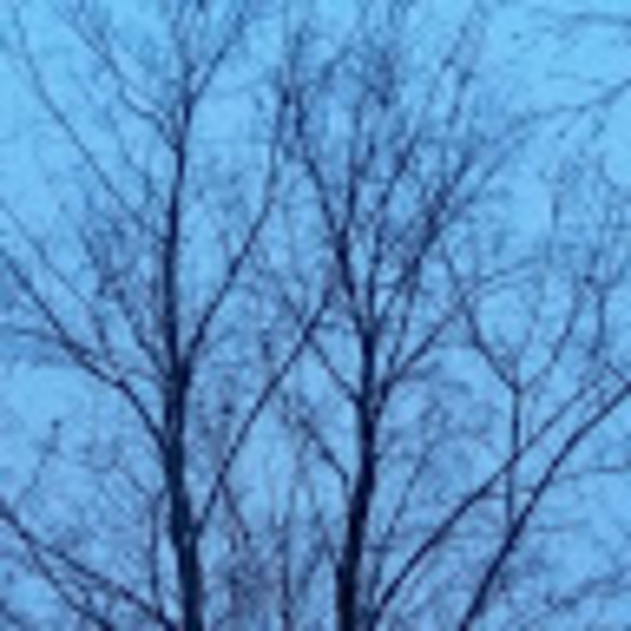 whitneyash456